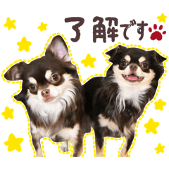 misamisa_20260403000644