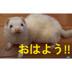 Natsu_20260403002357