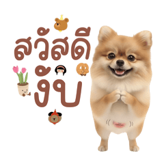 PumPuy_20260402233201