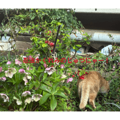 ryomaryoma_20260330231126