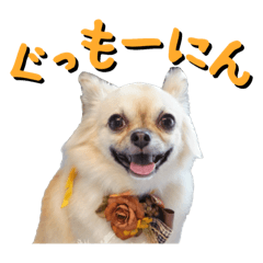 motchi_20260330230802