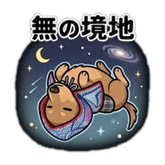 Stealthy Doxie: The Master of Disguise