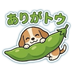 Roly-poly Beagle (Funny & Cute)