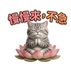 Lotus Cat: Zen Master Tabby's Wisdom