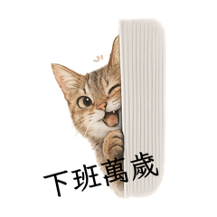 社畜的小小心聲