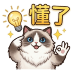 ★大貼圖★ 布偶貓懂了