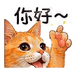 大家請買我這隻可愛的貓咪