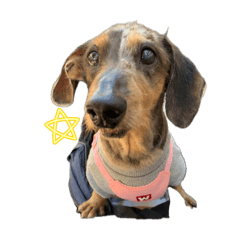 senbei_20260403093803