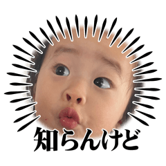 HYUGA_20260403094227