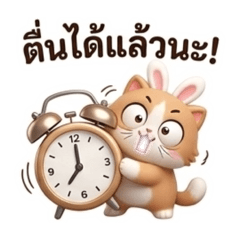 Luckypatt246_20260403093900