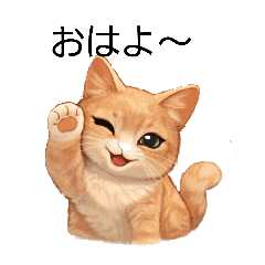 Fluffy Cat Workshop_20260403124730