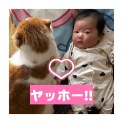 Chi.n.k_20260403125413