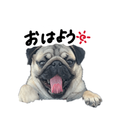 ayuchan_20260403125413