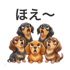 shinta_20260403125125