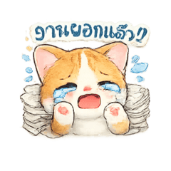 Paopao_20260403115317