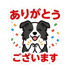Cute Polite Border Collie Stickers