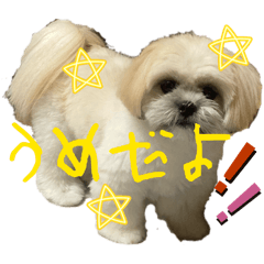 Karura_20260403131630