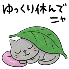 Lady Daily Nekonyandesu