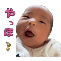 KINOKO_20260403131640