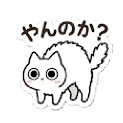 nekosama_20260403131801