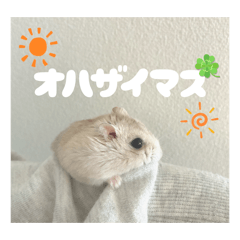 omochi._20260403132015