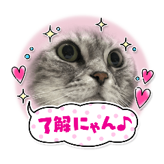 eishin_20260403132642