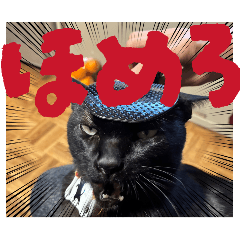 za-ne_20260403132528