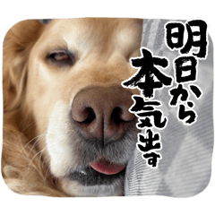 mugi g_20260403131823