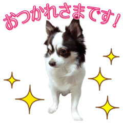 Kukky's Sticker