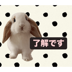 kinakoko1207_20260403132726