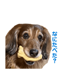 umiuyu_20260403132813