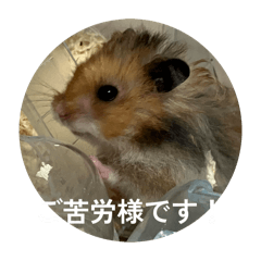 Uchujin_20260403132653