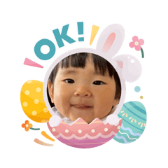 wanko_20260403141550