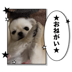 HANANA_20260403141655