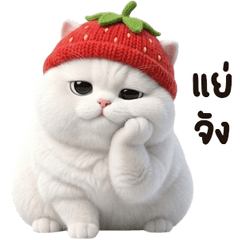 มะมะเหมียว <3