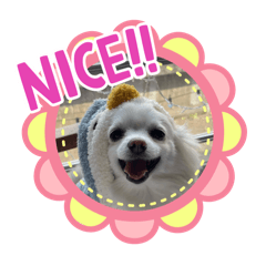 HANANA_20260403142102