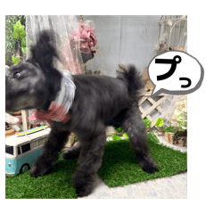 namihey_20260331115727