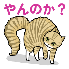 You Wanna Go? Cat (and Dog)