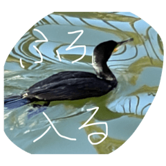 rentora_20260331121300