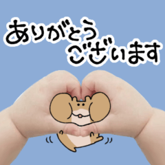 Mocchu the Handheld Hamster Stickers2
