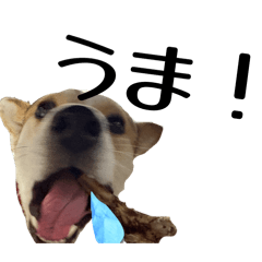 INUMHA_20260331113439