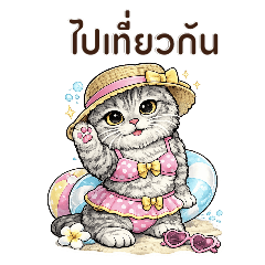 Ramen Chubby Cat  Daily