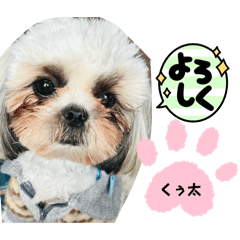 kuuta_20260403144049