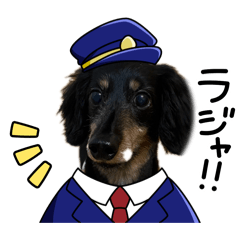 leoleo_20260403145112