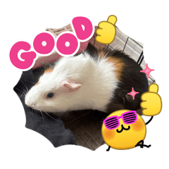 Reimi_20260331151556