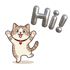 三花貓與虎斑貓：甜蜜日常