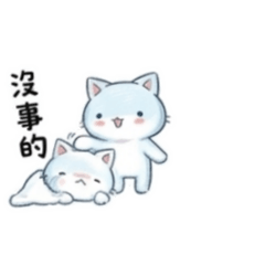 喵喵兔兔生活日常