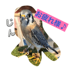 Ri-chan_20260403154417