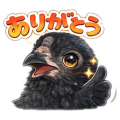 masato_20260403154912