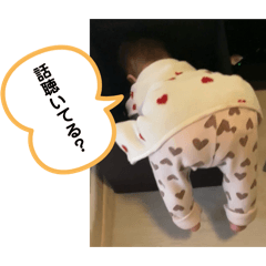 fascination_20260403151927